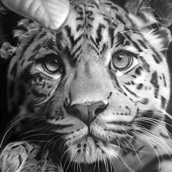 طراحی با تکنیک جدید و منحصر بفرد ایکاروس